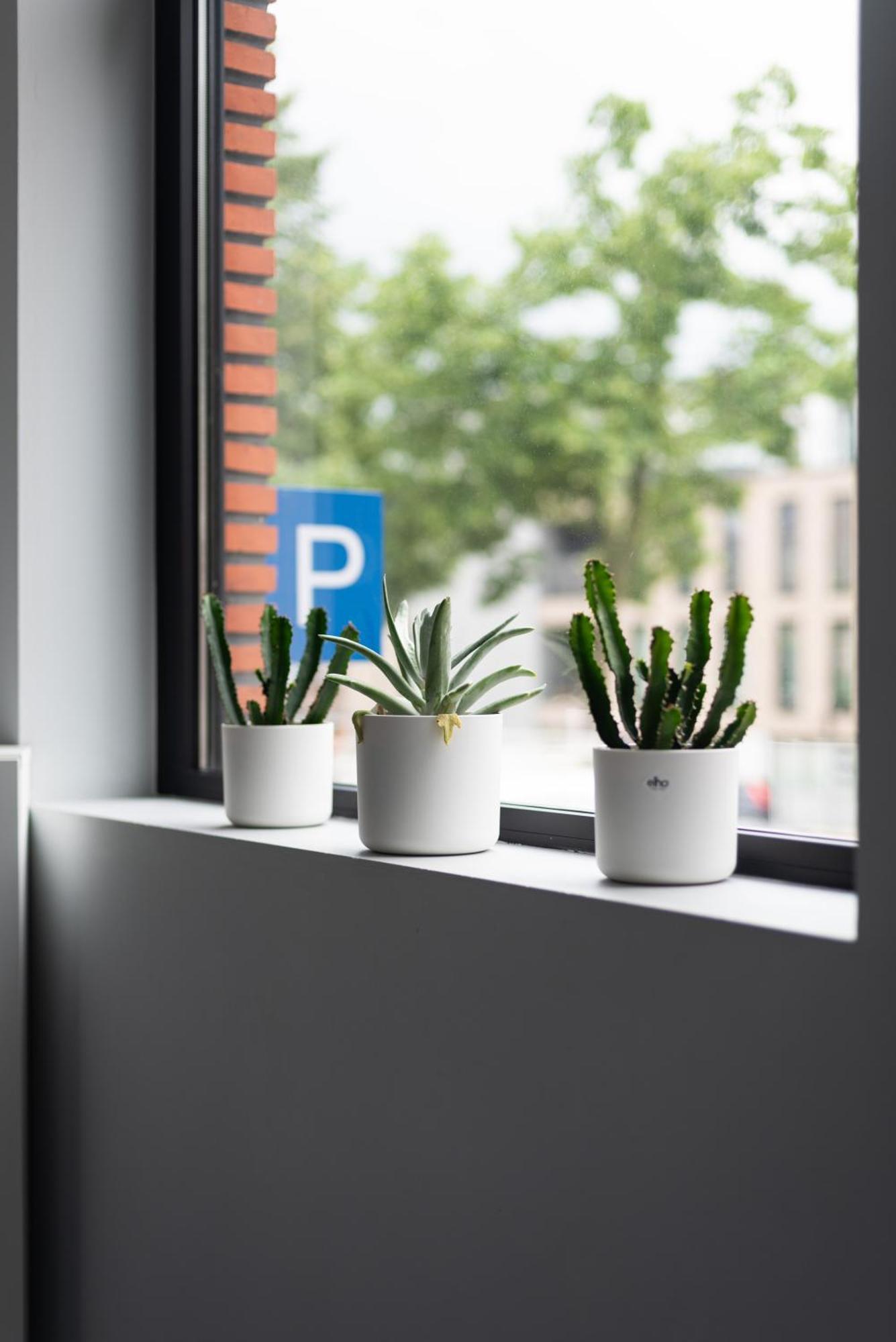 New! Design Herenhuis In Het Centrum Van تونجيرين المظهر الخارجي الصورة